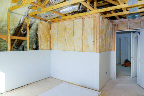 Best Geographic-Specific Insulation Services in St Clair, MI