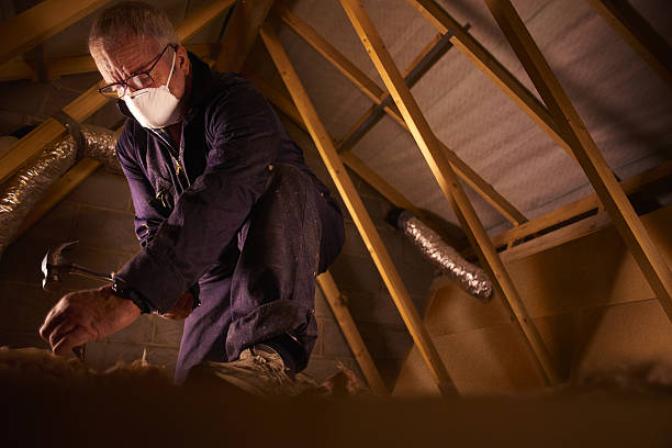 Best Insulation for Specific Applications in St Clair, MI