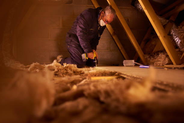 Best Cellulose Insulation in St Clair, MI